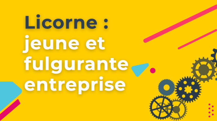 Définition : licorne